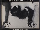 SACCHARINE TRUST: Paganicons 12 (first press, 45rpm, some cover/ring/seam wear,