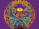 GRATEFUL DEAD-ANTHEM OF THE SUN (LTD) (PICT) (ANIV) (D (UK IMPORT)  VINYL LP NEW