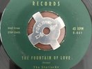 VG- HYPER RARE The Starlarks ELM Doo Wop Fountain of Love/ Send Me a Picture 45