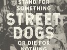 STREET DOGS - Stand For Something Or Die For Nothing - Vinyl (LP)