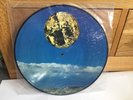 Altamont Vinyl New Steven Wilson Porcupine Tree Bass Communion Rare Ltd