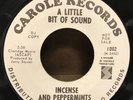 GARAGE/PSYCH 45 A LITTLE BIT OF SOUND 