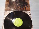 Protector-Urm The Mad LP 80iger Top