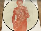 Bruce Springsteen - The Boss Was Born Picture Disc Vinyl RARE BOOTLEG Darkness