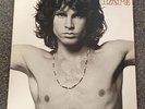 The Best Of The Doors X 2 LP Records Vinyl