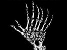 DEAD CROSS 10