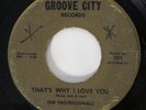 PROFESSIONALS That's Why I Love You Groove City Northern Soul RARE 45 HEAR