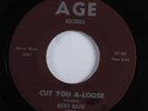 R&B Mod Soul 45 RICKY ALLEN Cut You A-Loose AGE HEAR