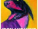 Iron And Wine-The Shepherd`S Dog  VINYL NEW