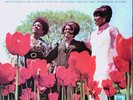MARVELETTES - In Full Bloom (Tamla Motown STML 11145) Stereo UK Vinyl LP Album