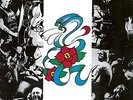 ROSE TATTOO - ROSE TATTOO - ROTES VINYL (PLUS CD)  2 VINYL LP NEU