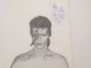 David Bowie Insert Aladdin Saine Fan Club .....Rare