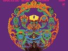 Grateful Dead - Anthem Of The Sun (50th Anniversary Vinyl Picture Disc) - LP