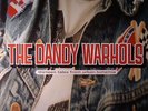 DANDY WARHOLS, The - Thirteen Tales From Urban Bohemia - Vinyl (2xLP)