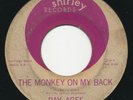 RAY AGEE The Monkey On My Back SHIRLEY Bay Area Popcorn R&B Jazz Soul 45 Hear