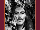 George Harrison /The Beatles -The Vinyl Collection [18 Lps Box Set ] New/Sealed