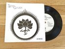 STARGAZER “Borne” RARE SIGNED Gorguts Demilich The Chasm Portal Artificial Brain