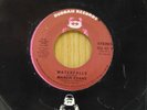 Margie Evans 45 Waterfalls stereo bw mono - Buddah VG++