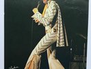 ELVIS PRESLEY-100% ORIGINAL ALL STAR SHOWS LARGE PICTURE AS SOLD AT THE SHOWS