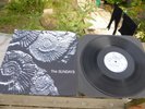 The Sundays - Reading Writing & Arithmetic UK 1st Press ROUGH 148 Indie Rare LP