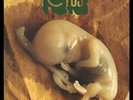 BATTIATO,FRANCO-FETUS  (US IMPORT)  VINYL LP NEW