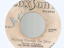 THE SOUND DIMENSIONS - WALKING THROUGH THE DOOR / I'M A BELIEVER          7