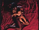 The Afghan Whigs - Congregation - 2017 COLOURED VINYL LP + download code SUB POP