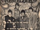 The Tremeloes - Suddenly You Love Me / Suddenly Winter - Vinyl 7