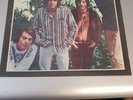 THE LOVIN' SPOONFUL