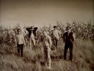 FEELIES The Good Earth LP POST PUNK INDIE