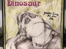 Dinosaur Jr.-You're Living All Over Me (SST Pre Name Change) Vinyl LP