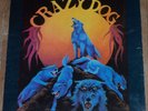 Rare Original Private Press Hard Rock LP CRAZY DOG Self-titled Scratch-N-Sniff