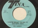 ROY ROBERT I Know What To Do To Satisfy You 45 Tina northern soul hear