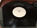 The Vandals: OI To The World - Original Test Pressing