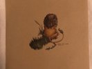 Pedro the Lion  - Whole 10