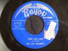 Big Jay McNeely, Bayou 014, Teen Age Hop & Hometown Jamboree
