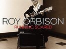 ORBISON, ROY-Running Scared (180g) (2LP)  VINYL NEW