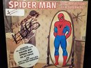 HERO SPIDER MAN ROCK REFLECTIONS OF A SUPERHERO LIFESONG LS6001 LP VINYL DEMO