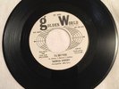 Theresa Lindsey I'll Bet You/Daddy-O, Golden World WLP 45, soul George Clinton,