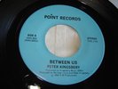 Peter Kingsbery (Cock Robin) rare private 45 from 1980 Between Us / No Way Out