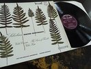 Sibelius: Violin Concerto - David Oistrakh **Philips Hi-Fi Stereo SABL 195**
