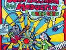 Sula Bassana & Modulfix ?- Brain Wash - LP 2013 - colour
