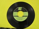 VHTF The Royal Host 45 AT 684 The Bubble Hum Song /Whats Going To Happen To Joey