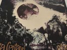Tangerine Dream  Alpha Centauri  1976 Vinyl [VD2504] Rock