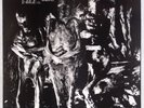 NURSE WITH WOUND: Insect & Individual Silenced w/ Insert Industrial LP NM- Rare