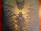 Defeated Sanity Passages Into Deformity vinyl lp record