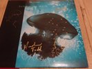 The Chills Submarine Bells Vinyl Record Signed