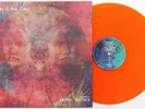 Today Is The Day ?- Animal Mother LP ORANGE VINYL Melvins Cows Unsane Helmet TAD