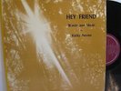 Kathy Nevins Hey Friend Rare Folk Psych Private Label LP