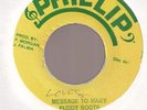 PUDDY ROOTS - MESSAGE TO MARY  / VERSION VG+